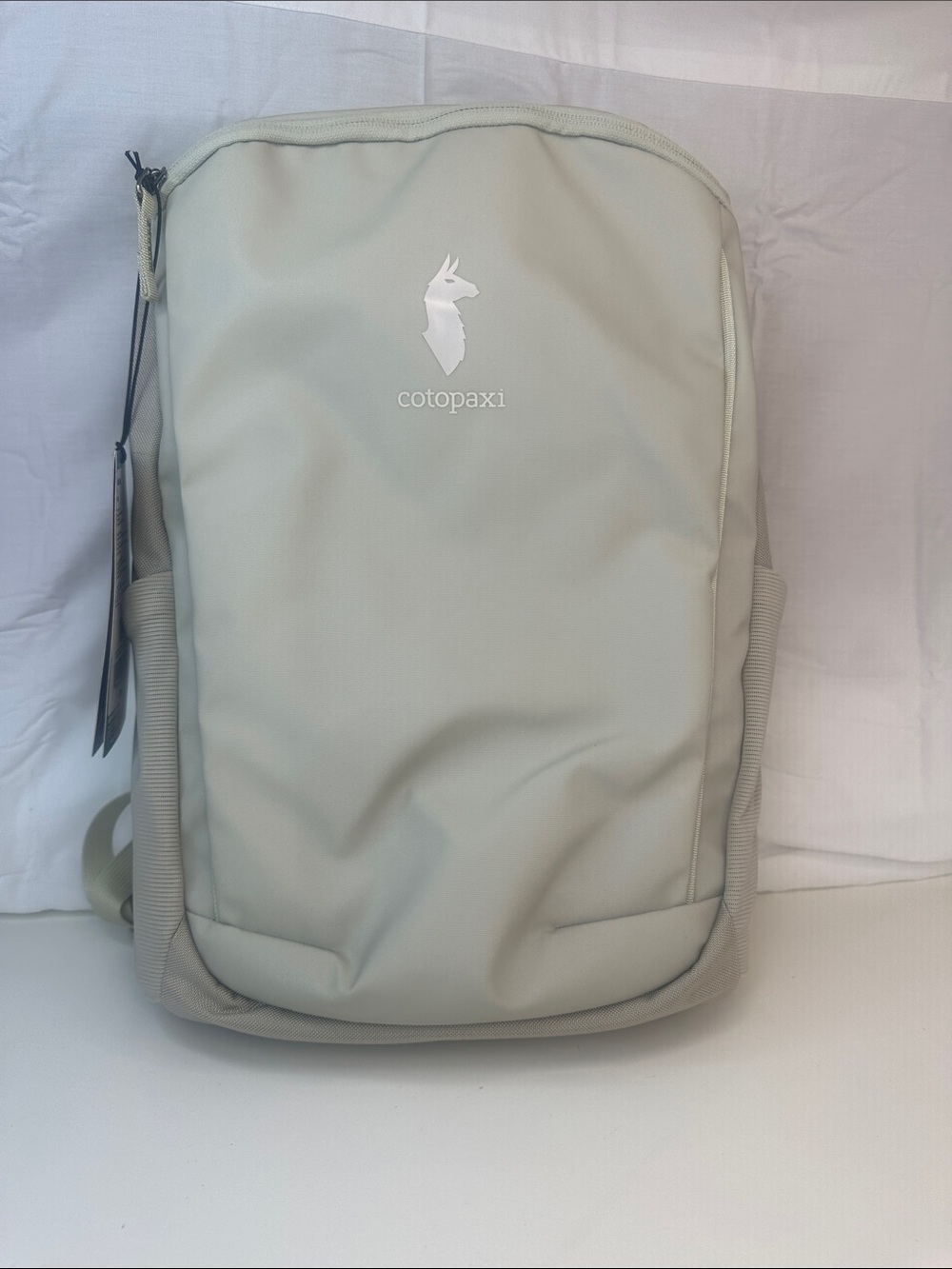 Cotopaxi 18L Allpa Daypack Mineral